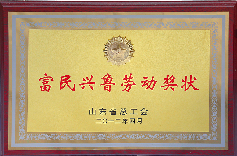  Shandong Labor Medal